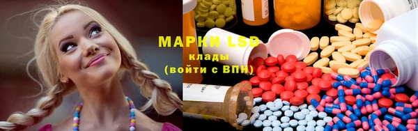 ГАЛЛЮЦИНОГЕННЫЕ ГРИБЫ Балабаново