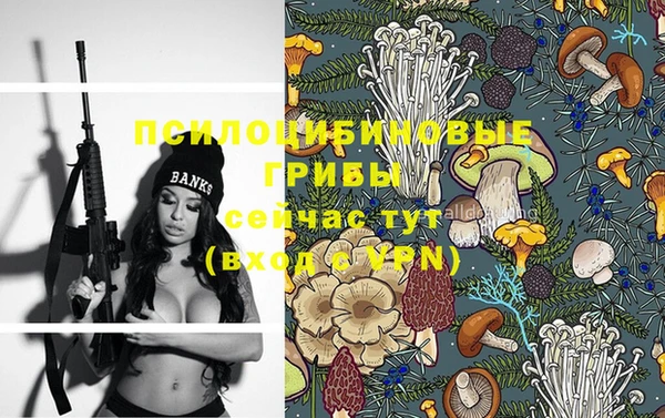 ГАЛЛЮЦИНОГЕННЫЕ ГРИБЫ Балабаново