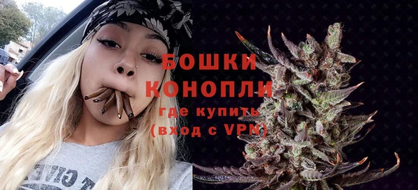ГАЛЛЮЦИНОГЕННЫЕ ГРИБЫ Балабаново