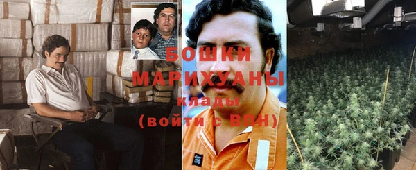 ГАЛЛЮЦИНОГЕННЫЕ ГРИБЫ Балабаново