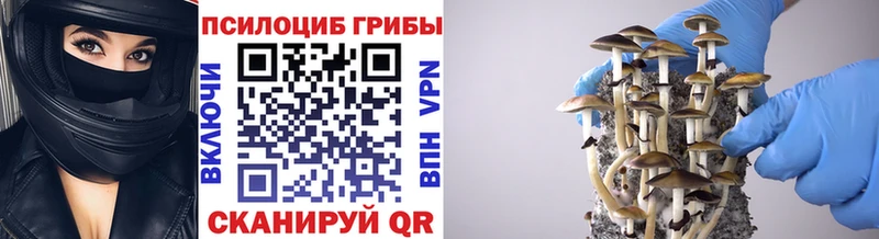 Галлюциногенные грибы прущие грибы  omg ONION  Энем 